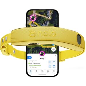 HALO - Collar 5, New Wireless Dog Fence & GPS Dog Collar, Subscription Required, Waterproof, One Size (5 colors) - Sunburst HALO - Collar 5, New Wireless Dog Fence & GPS Dog Collar, Subscription Required, Waterproof, One Size (5 colors) - Sunburst