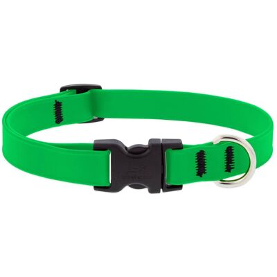 LupinePet - Splash BioThane Dog Adjustable Collar Medium - Neon Green LupinePet - Splash BioThane Dog Adjustable Collar Medium - Neon Green