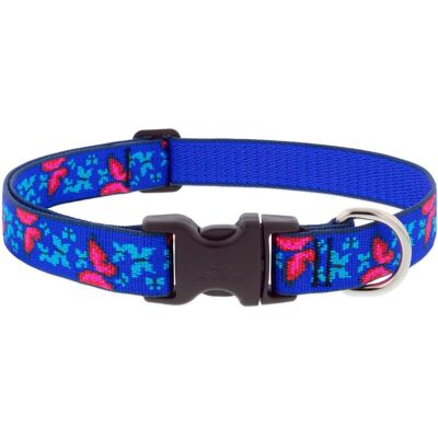 LupinePet - Blue/Pink Social Butterfly Nylon Dog Adjustable Collar Large - Multicolored LupinePet - Blue/Pink Social Butterfly Nylon Dog Adjustable Collar Large - Multicolored