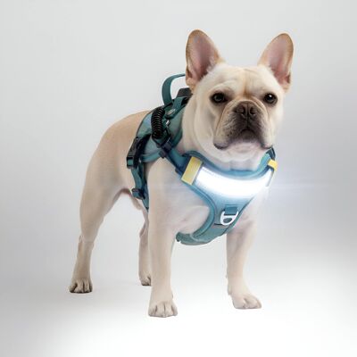 Lumi Pawtners - Lumi One LED Dog Harness - Blue Lumi Pawtners - Lumi One LED Dog Harness - Blue