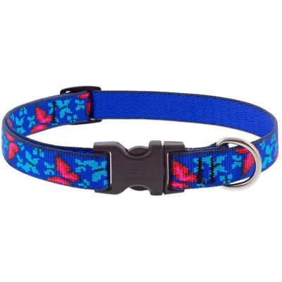 LupinePet - Blue/Pink Social Butterfly Nylon Dog Adjustable Collar Small - Multicolored LupinePet - Blue/Pink Social Butterfly Nylon Dog Adjustable Collar Small - Multicolored