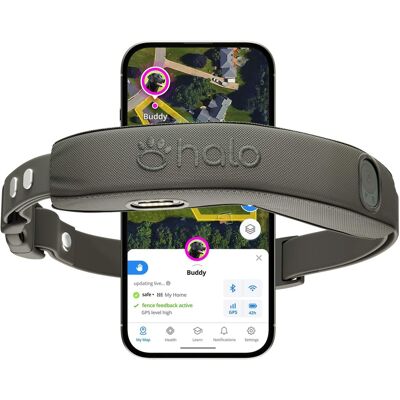 Halo - Collar 5, New Wireless Dog Fence & GPS Dog Collar, Subscription Required, Waterproof, One Size (5 colors) - Graphite Halo - Collar 5, New Wireless Dog Fence & GPS Dog Collar, Subscription Required, Waterproof, One Size (5 colors) - Graphite
