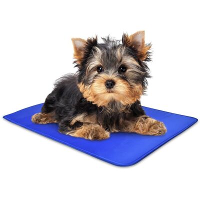 Arf Pets - Dog Cooling Mat, Durable, Non-Toxic Gel Dog Bed Mat for Kennels, Crates & Beds - X-Small - Blue Arf Pets - Dog Cooling Mat, Durable, Non-Toxic Gel Dog Bed Mat for Kennels, Crates & Beds - X-Small - Blue