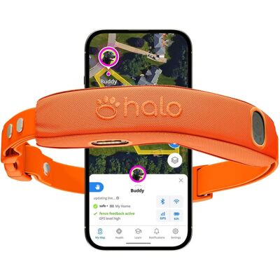 Halo - Collar 5, New Wireless Dog Fence & GPS Dog Collar, Subscription Required, Waterproof, One Size (5 colors) - Blaze Halo - Collar 5, New Wireless Dog Fence & GPS Dog Collar, Subscription Required, Waterproof, One Size (5 colors) - Blaze