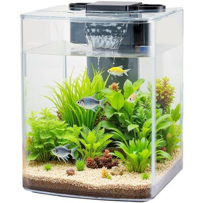 HOMLUX - 2 Gallon Fish Tank Aquarium Smart Arch Clear GPPS 3 Color Self Cleaning - Black HOMLUX - 2 Gallon Fish Tank Aquarium Smart Arch Clear GPPS 3 Color Self Cleaning - Black