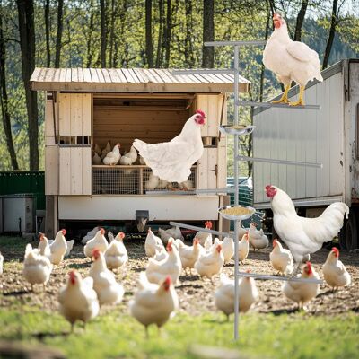 Oumilen - Grey In-ground Chicken Perch Stand with Multi-level Roosting Bars & Stainless Steel Feeder Bowls - White Oumilen - Grey In-ground Chicken Perch Stand with Multi-level Roosting Bars & Stainless Steel Feeder Bowls - White