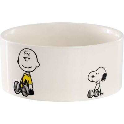Peanuts - Charlie Brown and Friends Snack Time 6in Stoneware Pet Bowl - White and Multi Peanuts - Charlie Brown and Friends Snack Time 6in Stoneware Pet Bowl - White and Multi