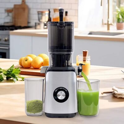 Anysun - Cold Chewable Juicer with Wide Feeding Trough - Easy Clean, Suitable for Whole Vegetables & Fruits - Silver Anysun - Cold Chewable Juicer with Wide Feeding Trough - Easy Clean, Suitable for Whole Vegetables & Fruits - Silver