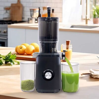Anysun - Cold Chewable Juicer with Wide Feeding Trough - Easy Clean, Suitable for Whole Vegetables & Fruits - Black Anysun - Cold Chewable Juicer with Wide Feeding Trough - Easy Clean, Suitable for Whole Vegetables & Fruits - Black