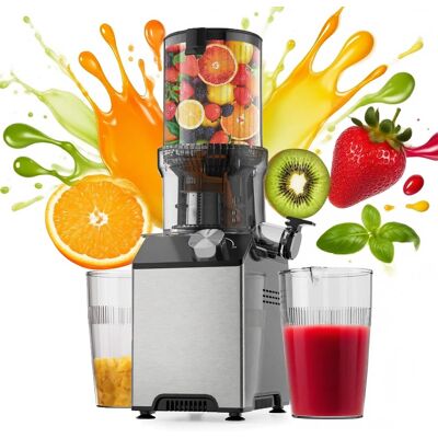 WHALL - Cold Press Juicer Machine, Slow Juicer, High Juice Yield, Stainless Steel Masticating Juicer - Silver WHALL - Cold Press Juicer Machine, Slow Juicer, High Juice Yield, Stainless Steel Masticating Juicer - Silver