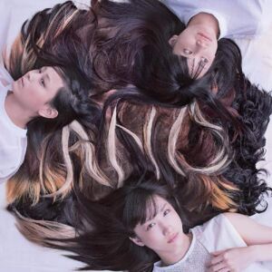 Topshelf Records Tricot - A N D - VINYL LP Topshelf Records Tricot - A N D - VINYL LP