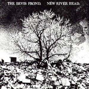 Fire America The Bevis Frond - New River Head - VINYL LP Fire America The Bevis Frond - New River Head - VINYL LP