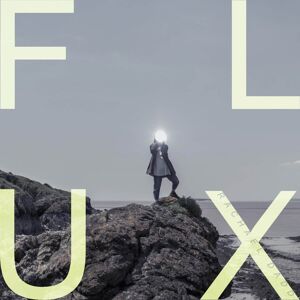 Memphis Industries Rachael Dadd - Flux - VINYL LP Memphis Industries Rachael Dadd - Flux - VINYL LP