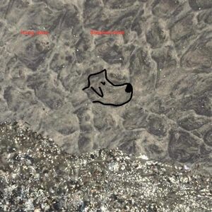 Saddle Creek Young Jesus - Shepherd Head - VINYL LP Saddle Creek Young Jesus - Shepherd Head - VINYL LP