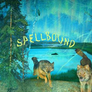 Topshelf Records Boyscott - Spellbound - VINYL LP Topshelf Records Boyscott - Spellbound - VINYL LP