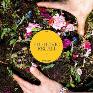 Secret City Records Braids - Euphoric Recall - VINYL LP Secret City Records Braids - Euphoric Recall - VINYL LP