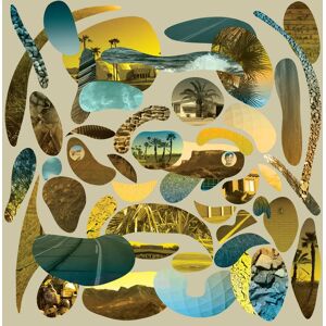 Polyvinyl Records Pedro the Lion - Havasu (Smoky Tint Shell with Forest Green Ink) - CASSETTES Polyvinyl Records Pedro the Lion - Havasu (Smoky Tint Shell with Forest Green Ink) - CASSETTES