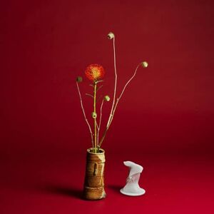 Leaving Records Seiho - Collapse - VINYL LP Leaving Records Seiho - Collapse - VINYL LP