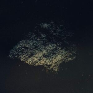 Denovali Records Multicast Dynamics - Lost World - VINYL LP Denovali Records Multicast Dynamics - Lost World - VINYL LP