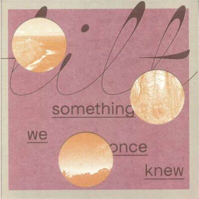 Dear Life Records Tilt - Something We Once Knew - VINYL LP Dear Life Records Tilt - Something We Once Knew - VINYL LP