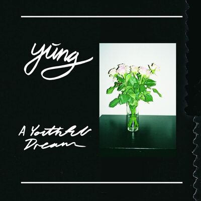Fat Possum Records Yung - A Youthful Dream - VINYL LP Fat Possum Records Yung - A Youthful Dream - VINYL LP