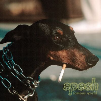 Killroom Records Spesh - Famous World - VINYL LP Killroom Records Spesh - Famous World - VINYL LP