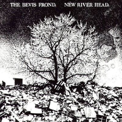 Fire America The Bevis Frond - New River Head - VINYL LP Fire America The Bevis Frond - New River Head - VINYL LP