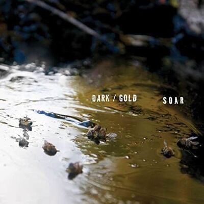 Father/Daughter Rec Soar - Dark / Gold - CASSETTES Father/Daughter Rec Soar - Dark / Gold - CASSETTES