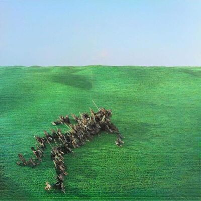 Warp Records Squid - Bright Green Field - VINYL LP Warp Records Squid - Bright Green Field - VINYL LP