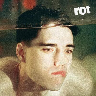 Counter Records Tennyson - Rot - VINYL LP Counter Records Tennyson - Rot - VINYL LP