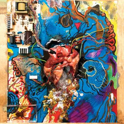 Third Man Records Timmy's Organism - Heartless Heathen - VINYL LP Third Man Records Timmy's Organism - Heartless Heathen - VINYL LP
