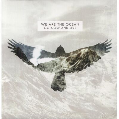 Side One Dummy We Are the Ocean - Go Now & Live - VINYL LP Side One Dummy We Are the Ocean - Go Now & Live - VINYL LP