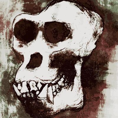 Hand'solo Records Ol' Gorilla Bones X the Dirty Sample - Revenge 1 - VINYL LP Hand'solo Records Ol' Gorilla Bones X the Dirty Sample - Revenge 1 - VINYL LP
