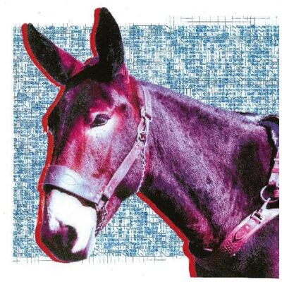 Domino Protomartyr - Ultimate Success Today - VINYL LP Domino Protomartyr - Ultimate Success Today - VINYL LP