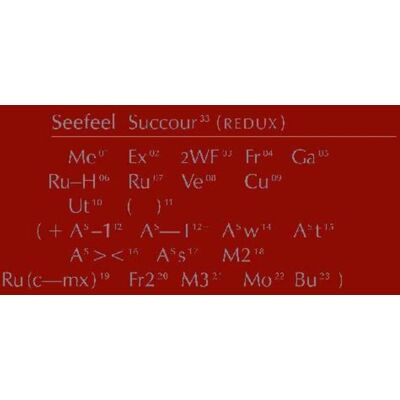 Warp Records Seefeel - Succour (redux) - VINYL LP Warp Records Seefeel - Succour (redux) - VINYL LP