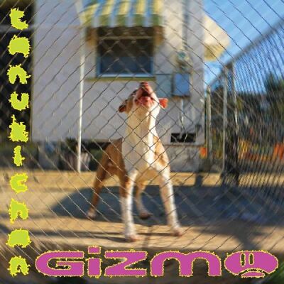 Company Records Tanukichan - Gizmo - VINYL LP Company Records Tanukichan - Gizmo - VINYL LP