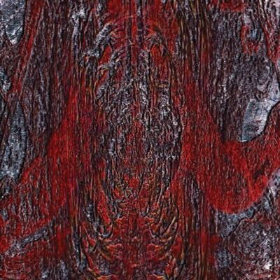 Denovali Records Asfast - The Prime Same - VINYL LP Denovali Records Asfast - The Prime Same - VINYL LP