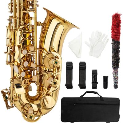 Winado - New Practice Beginner Eb Alto Sax Saxophone School Paint with Portable CARRY Case & Accessories Winado - New Practice Beginner Eb Alto Sax Saxophone School Paint with Portable CARRY Case & Accessories