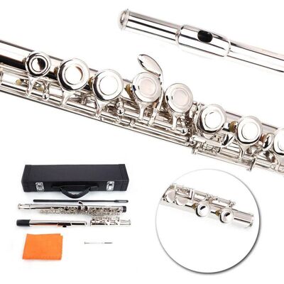 Winado - C Flutes with E-split, Orchestra Closed Hole Flute Kit for Beginners & Professionals, 16 Keys Musical Nickel Flute Winado - C Flutes with E-split, Orchestra Closed Hole Flute Kit for Beginners & Professionals, 16 Keys Musical Nickel Flute