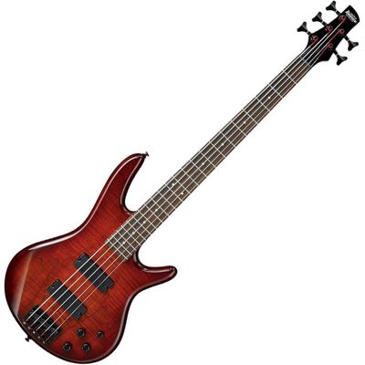 Ibanez - GSR205SMCNB GIO Series 5-String Electric Bass Guitar, Charcoal Brown Ibanez - GSR205SMCNB GIO Series 5-String Electric Bass Guitar, Charcoal Brown