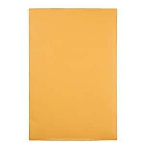 Quality Park - Redi-Seal Kraft Catalog Envelopes, 6"L x 9"H, 100/Box - Brown Quality Park - Redi-Seal Kraft Catalog Envelopes, 6"L x 9"H, 100/Box - Brown