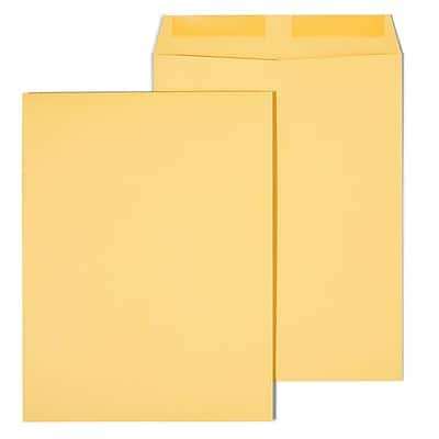 Staples - Gummed Kraft Catalog Envelopes, 10"L x 13"H, 250/Box - Brown Staples - Gummed Kraft Catalog Envelopes, 10"L x 13"H, 250/Box - Brown
