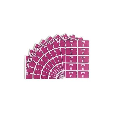 Smead - AlphaZ ACCS Color-Coded Alphabetic Labels, E, with Lettering, 100/Pack - Purple Smead - AlphaZ ACCS Color-Coded Alphabetic Labels, E, with Lettering, 100/Pack - Purple