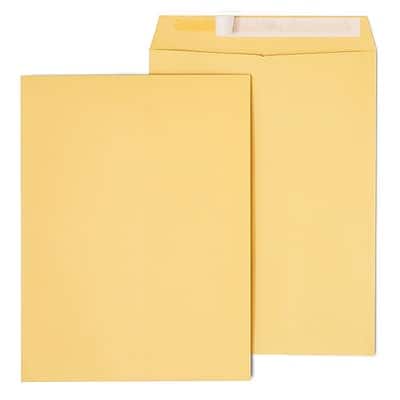 Staples - EasyClose Self Seal #10 1/2 Kraft Catalog Envelope, 9" x 12", 250/Box - Brown Staples - EasyClose Self Seal #10 1/2 Kraft Catalog Envelope, 9" x 12", 250/Box - Brown