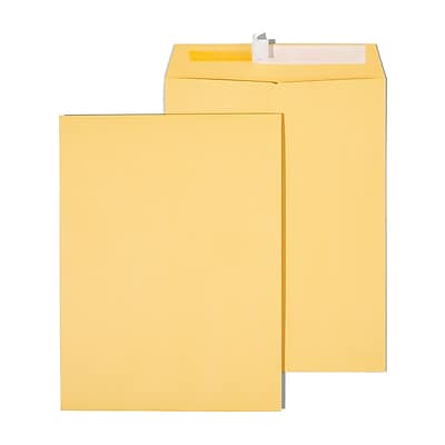 Staples - QuickStrip EasyClose Kraft Self Seal Catalog Envelopes, 9" x 12", 100/Box - Brown Staples - QuickStrip EasyClose Kraft Self Seal Catalog Envelopes, 9" x 12", 100/Box - Brown