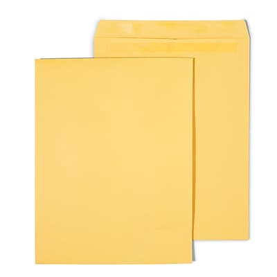 Staples - Self Seal Kraft Catalog Envelopes, 12" x 15.5", 100/Box - Brown Staples - Self Seal Kraft Catalog Envelopes, 12" x 15.5", 100/Box - Brown
