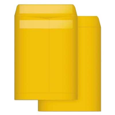 Quality Park - Self Seal Kraft Catalog Envelope, 9" x 12", 100/Box - Brown Quality Park - Self Seal Kraft Catalog Envelope, 9" x 12", 100/Box - Brown