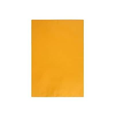 Quality Park - Open End Kraft Catalog Envelopes, 12.5 x 18.5", 25/Box - Brown Kraft Quality Park - Open End Kraft Catalog Envelopes, 12.5 x 18.5", 25/Box - Brown Kraft