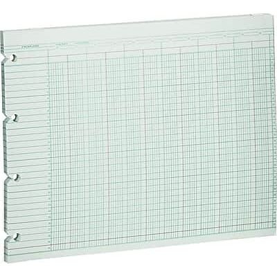 Wilson Jones - Columnar Sheets, Ledger Paper, Ruled, 30 Lines, 20 Columns Paper, 9 1/4" x 11 7/8", 100/Pk - Green Wilson Jones - Columnar Sheets, Ledger Paper, Ruled, 30 Lines, 20 Columns Paper, 9 1/4" x 11 7/8", 100/Pk - Green