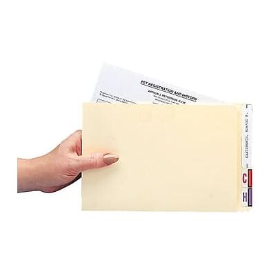 Medical Arts Press - File Pocket, Compact Size 100/Box - Manila Medical Arts Press - File Pocket, Compact Size 100/Box - Manila